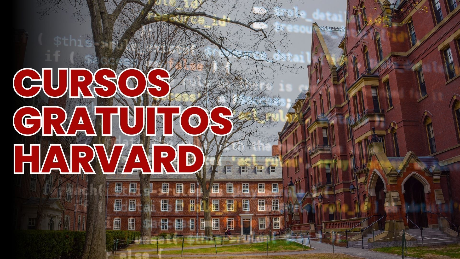 Cursos gratuitos de Harvard para aprender programación